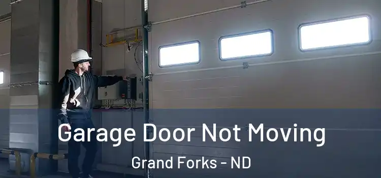  Garage Door Not Moving Grand Forks - ND